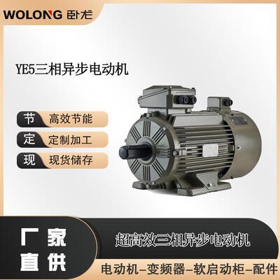 YE5-315L-2 160KW 三相异步电动机 一级能效 卧龙电气南阳防爆