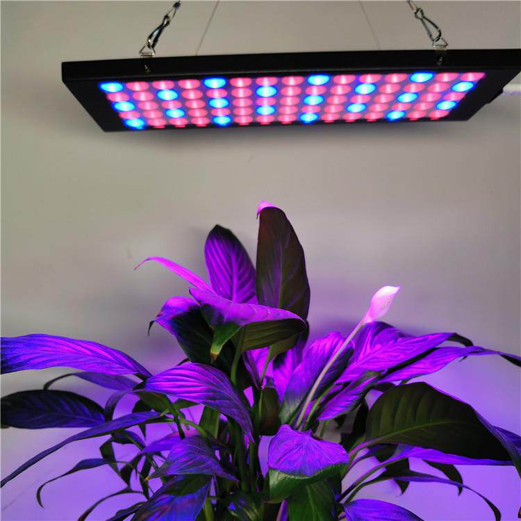 跨境电商新款中功率植物生长灯 led植物补光灯