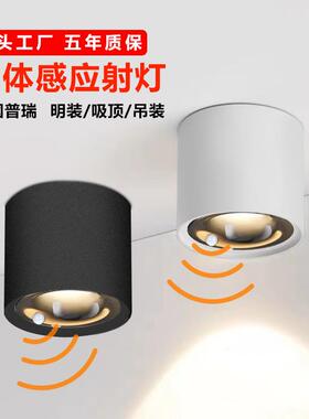 led明装人体感应射灯cob红外家用客厅天花灯楼梯吸顶感应灯
