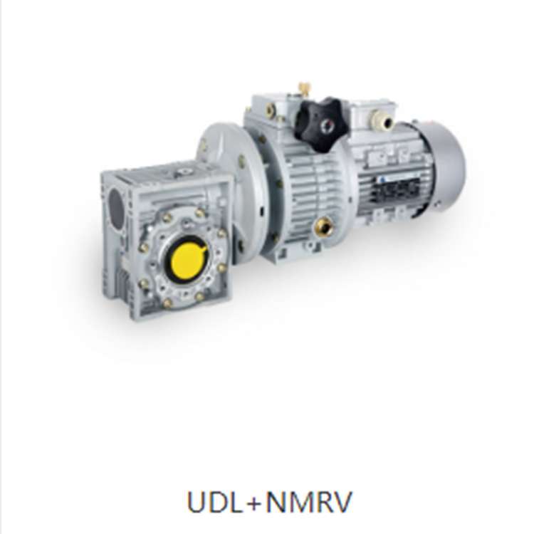 无极变速+NMRV减速电机Y3-0.75KW/UDL010B5/NMRV050-20