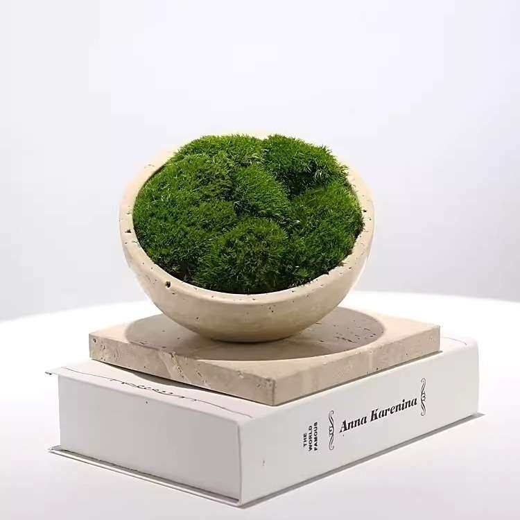 现代永生青苔洞石花器绿植盆景样板房售楼处洽谈桌办公室软装摆件