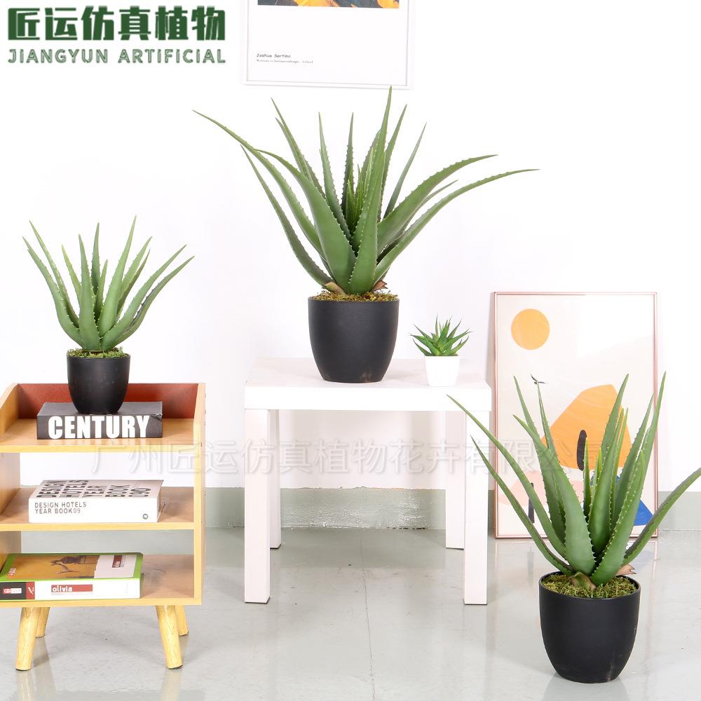 手感软胶加厚叶片高端大型多肉盆栽造景绿植装饰植物99%仿真芦荟
