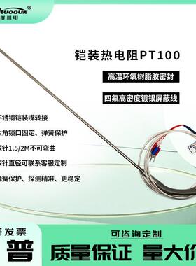 PT100铠装热电阻/WRNK-191针形铂热电阻/探针热电阻高精度可弯曲
