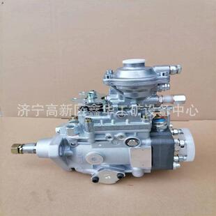 专业销售发动机VE泵总成22100 221001C461优质现货 1C461