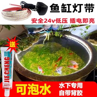 古法鱼缸专用灯带防水户外led硅胶鱼池氛围泡水灯带条自粘照明24V