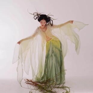 新款 古典舞舞服绿色蝴蝶古风舞蹈仙女服轻盈渐变仙气飘逸演出服