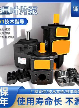 单泵/双联叶片泵PV2R11/PV2R21/1/31/32油泵总成液压系统泵头配件