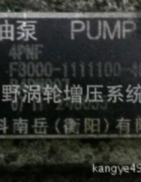 喷油泵F3000- B4PM907A3和4PM125A 和1PG301-1111100 B4PN98T10A