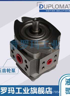 意大利迪普马DUPLOMATIC DFP442/47/50/57/60RA120叶片泵液压油泵