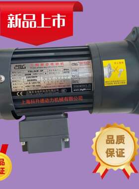 YS0.55KW-4P ZHI BAO MOTOR CO.,LTD电机 ZHI BAO马达