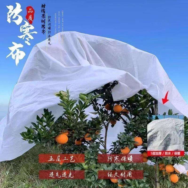 防寒布柑橘李子树车厘子樱桃防雨无纺布果树防雨透气防冻园林农用