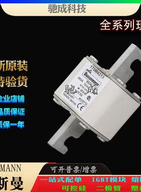 巴斯曼170M4309 170M4310 170M4311 厂价直销批零兼营 低压熔断器