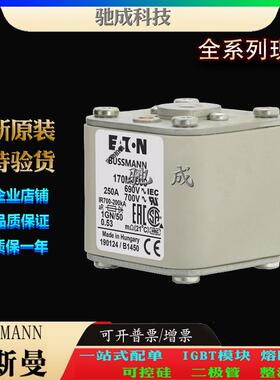 巴斯曼170M4508 170M4509 170M4510 长期销售价优 原装熔断器