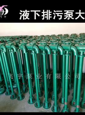 40WDL立式污水泵 加长杆泵2寸3寸4寸6寸液下排污泵杆泵