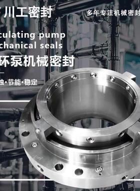 强制循环泵机械密封泵型号:ZWQEMZ-500-B1-650WQEMZ-600-B1-510