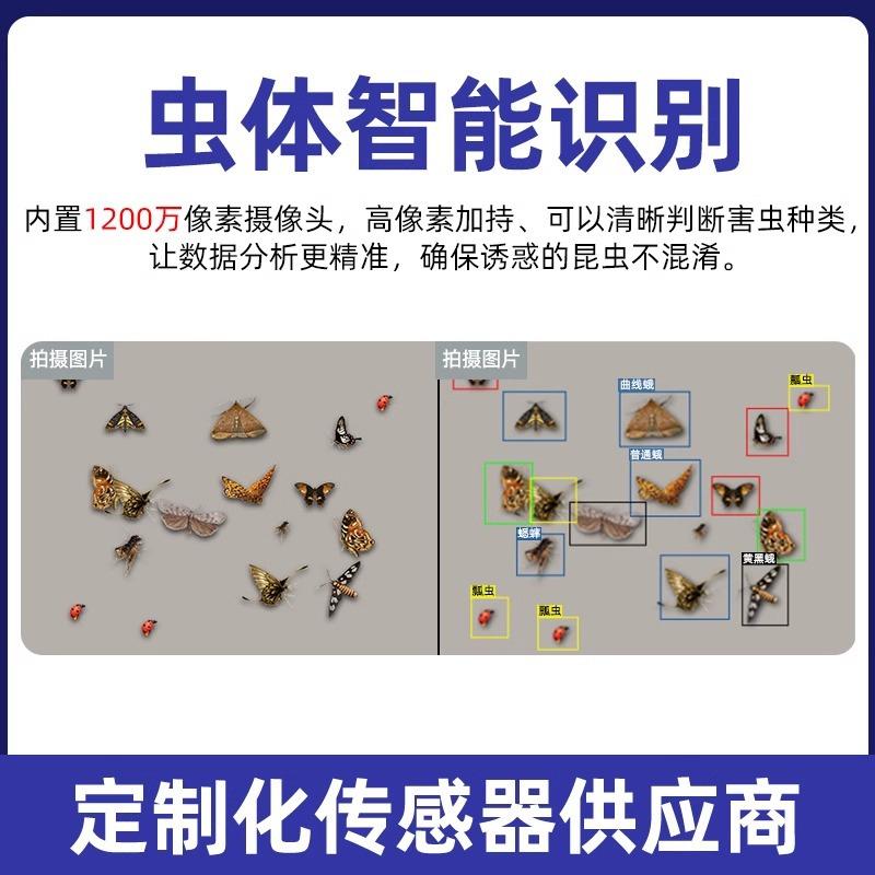昆虫检测装置智能虫情监测系统智能云平台害虫监测仪虫情预警