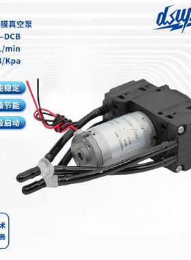 DISEN 双头真空泵小型小型负压泵隔膜泵气体采集 脱气泵 超静音