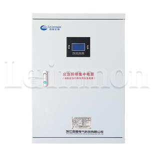 应急照明集中电源配电箱LM-D-0.3KVA DC24V 60分钟智能疏散指示
