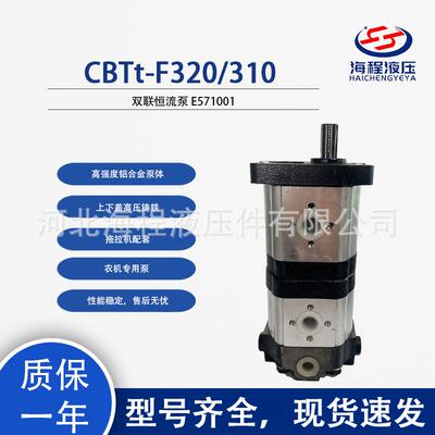 CBTt-F320/310 东方红配套双联恒流泵 E571001