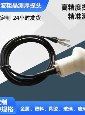 高温测厚 金属测厚仪耐高温探头 时代美泰 TT100130