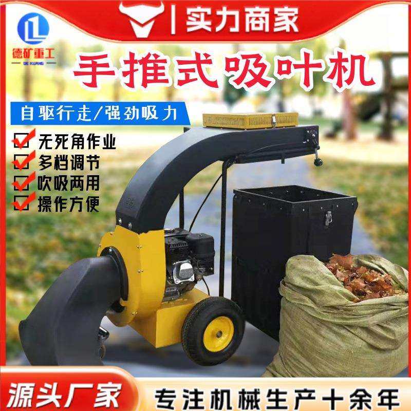大型碎叶吸叶机 手扶自走环卫树叶收集车 汽油公园道路落叶清扫机,鲜花速递/花卉仿真/绿植园艺,割草机/草坪机,淘宝优惠券,粉丝福利购,淘宝优惠卷