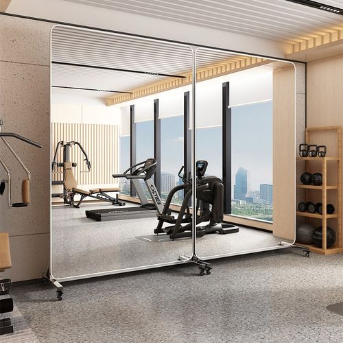 舞蹈镜移动舞蹈镜子家用跳舞可移动练舞镜健身全身镜X穿衣镜不锈