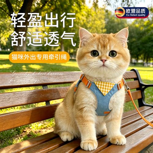 英国猫咪牵引绳防挣脱遛猫绳外出