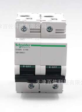 C120H断路器C120H 2P C100A断路器A9N19817断路器空气开关