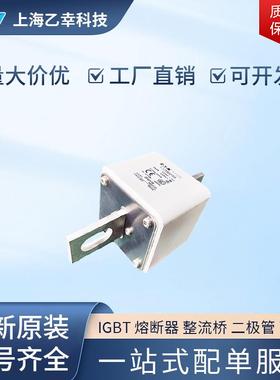 巴斯曼熔断器 170M6666 170M6667 170M6668 170M6669 170M6670