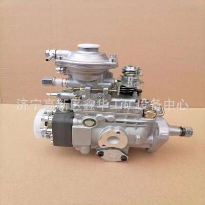 专业销售发动机配件VE6泵总成10F1900RND417