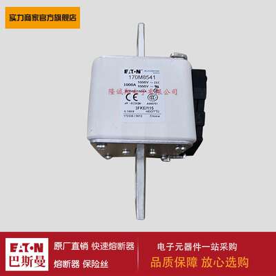 熔断器170M8538 170M8539 170M8540 170M8541 170M8542 170M8543