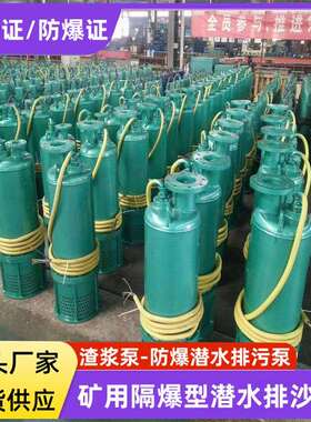 矿用隔爆型潜水排沙电泵660v1140V防爆潜水排沙泵 BQS120-80-55KW