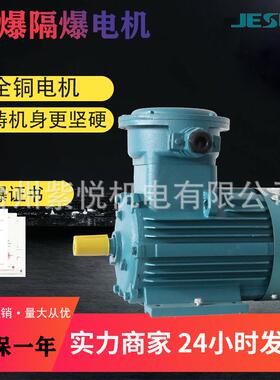 YB3隔爆型三相异步电动机防爆电机BT4卧式国标纯铜线矿用煤安马达