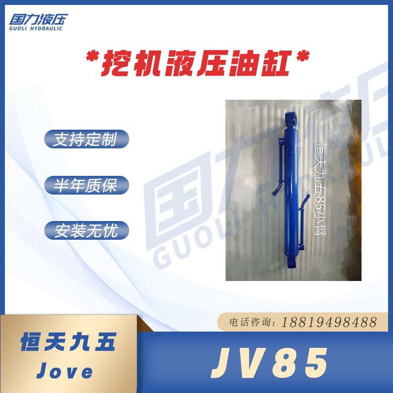 恒天九五JV55-7 70-7 85 150 235LC 365LC大中小臂油缸总成活塞杆