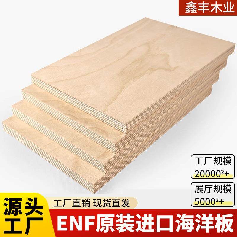 进口全桦木海洋板胶合木板整板环保防潮多种规格水煮不脱胶