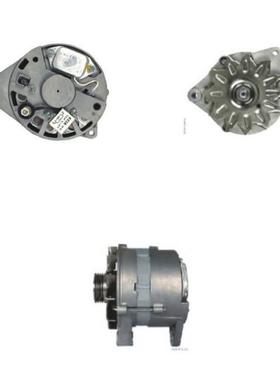 供应32516661/LRA00567/30589RI/JFZ171/047903015JX汽车发电机