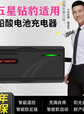 0电动车充电器48VAVH712A2豹84HV5星V20A0适用H45AH6五钻