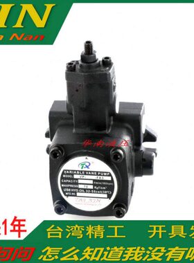 30数控车床V量P-VA3 PP 15-F45 V油泵- -PP4012- A2---F/变VVV20P