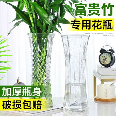 富贵竹专用玻璃花瓶摆件客厅插花轻F奢高级感透明水养百合鲜花家