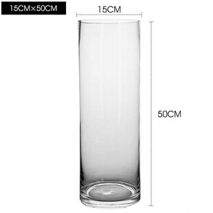 玻璃竹子绿植透明花瓶摆件富贵竹水培客厅大号插花专用转运竹水养