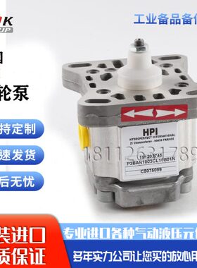 N1BIBL0齿轮泵9N原装10P3 5075AHP903CC0法国01