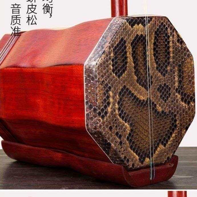 大低胡大二胡低音乐器送全套低胡配件低音大二胡琴低胡全套