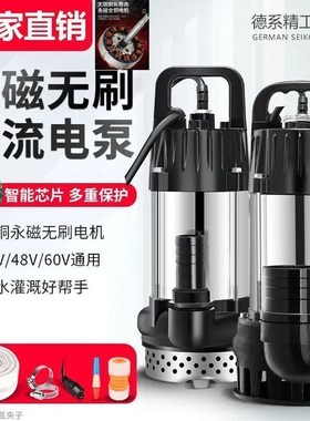 直流电动车潜水泵48v60v72v电瓶车通用 智能无刷直流泵抽水机灌溉