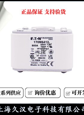 熔断器170M6412 6413 6414 6415 6416 6417 6418  保险丝