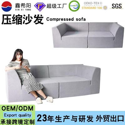 亚马逊客厅沙发高密度海绵跨境双人组合沙发工厂compressed Sofa