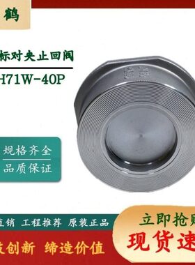 1H7  40对夹式止回阀- 德标P四边式带W专用锅炉PN止回阀40升降