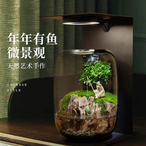 苔藓微景观鱼缸h养鱼办公室内桌面鲜活绿植生态缸摆件成品盆景礼