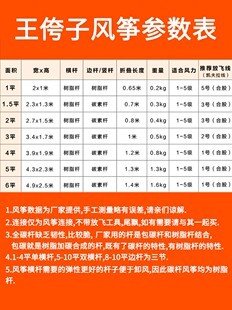 王侉子潍坊风筝大型三角伞布碳杆成人微风易飞精V细做工微风风筝