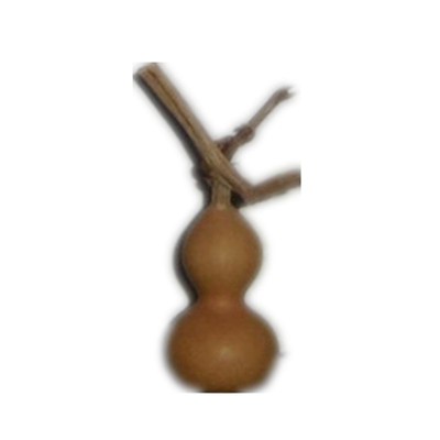 3厘米以下把玩手捻天然小葫芦 铁包金草里金文玩收藏摆件一物一图