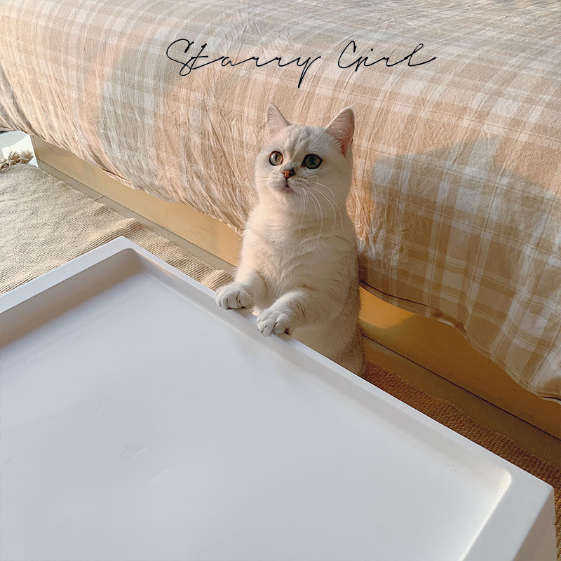 床上小桌子ins折叠餐桌塑料宿舍笔记P本桌床桌手提懒人